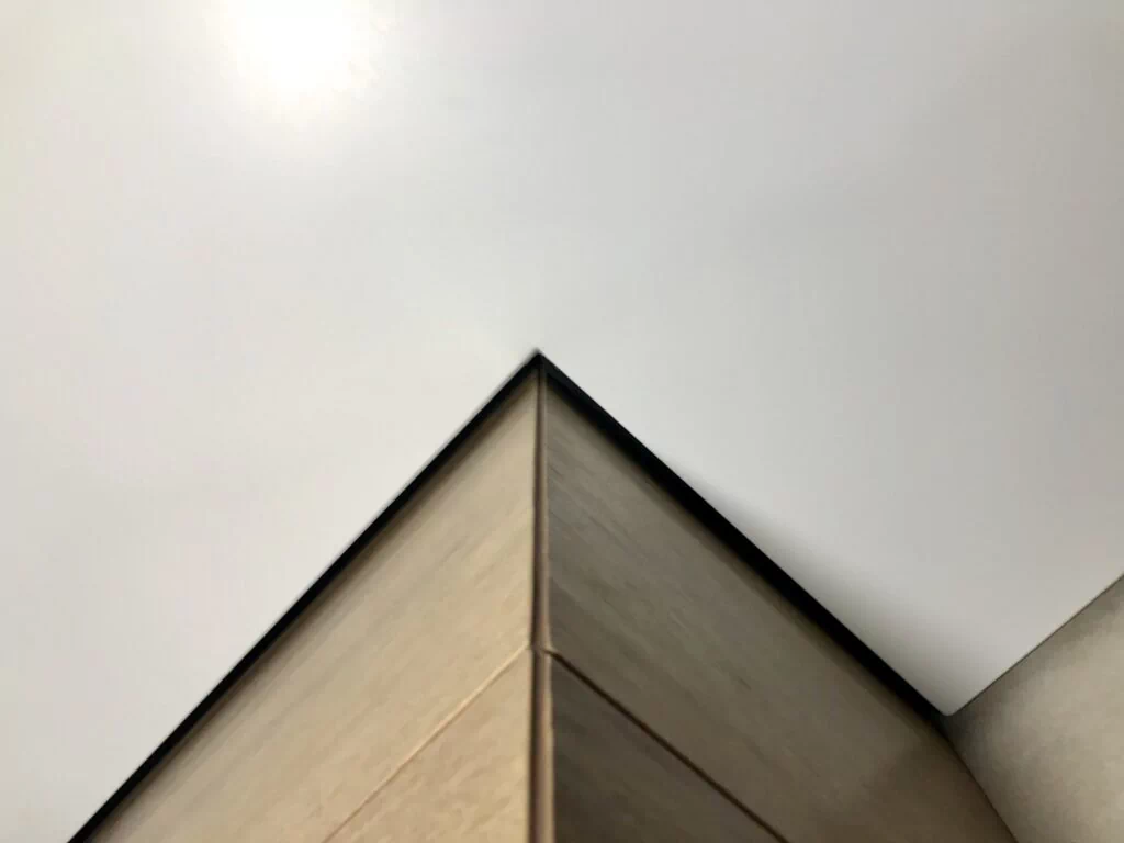 the_title()